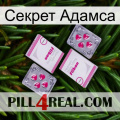 Секрет Адамса 33